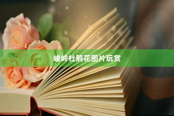峻岭杜鹃花图片玩赏