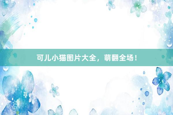 可儿小猫图片大全,萌翻全场!