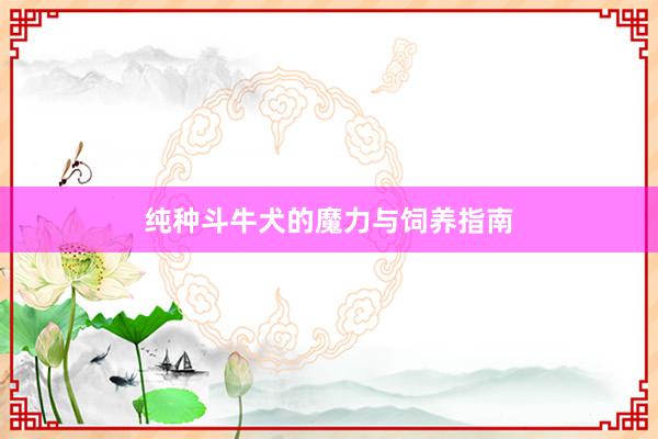 纯种斗牛犬的魔力与饲养指南