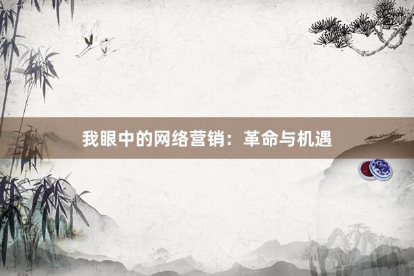 我眼中的网络营销：革命与机遇